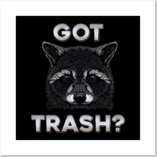 Got Trash? Raccoon begging Posters and Art